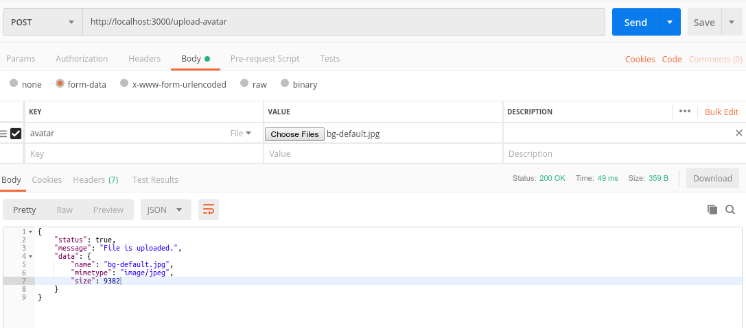 Multer Single File Upload